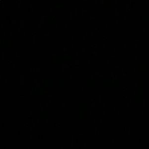 Meet your Posher, Surina